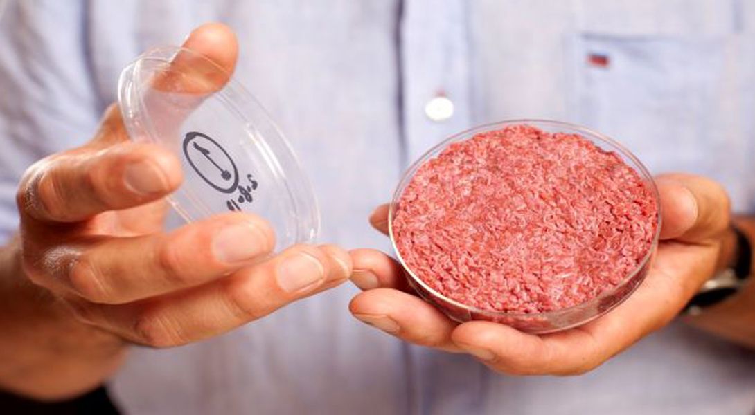Mięso z probówki (in vitro) – co to jest i jak wpływa na zdrowie?