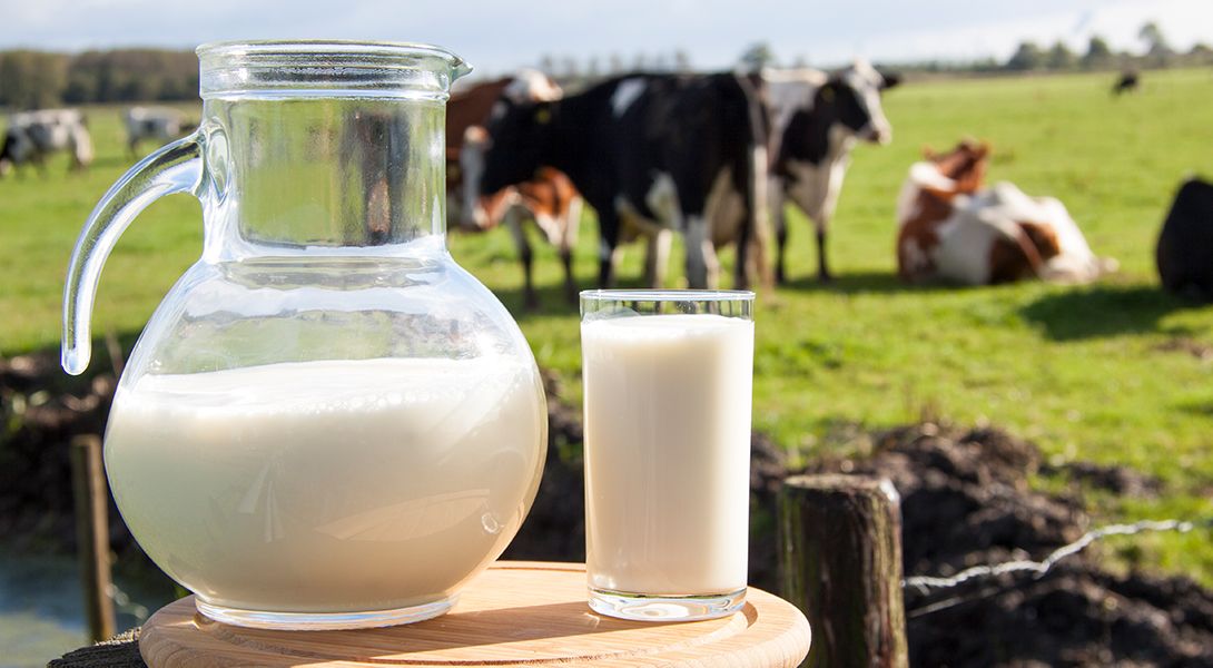 Czy mleko jest zdrowe? Mity i praktyczne wskazówki