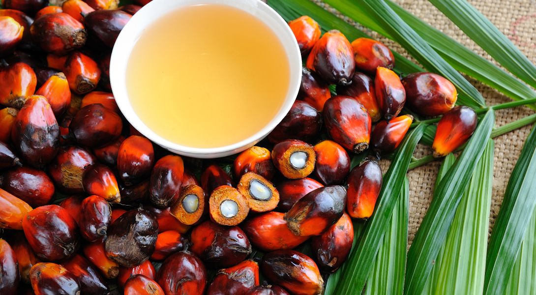 Czy olej palmowy jest zdrowy? Fakty i mity