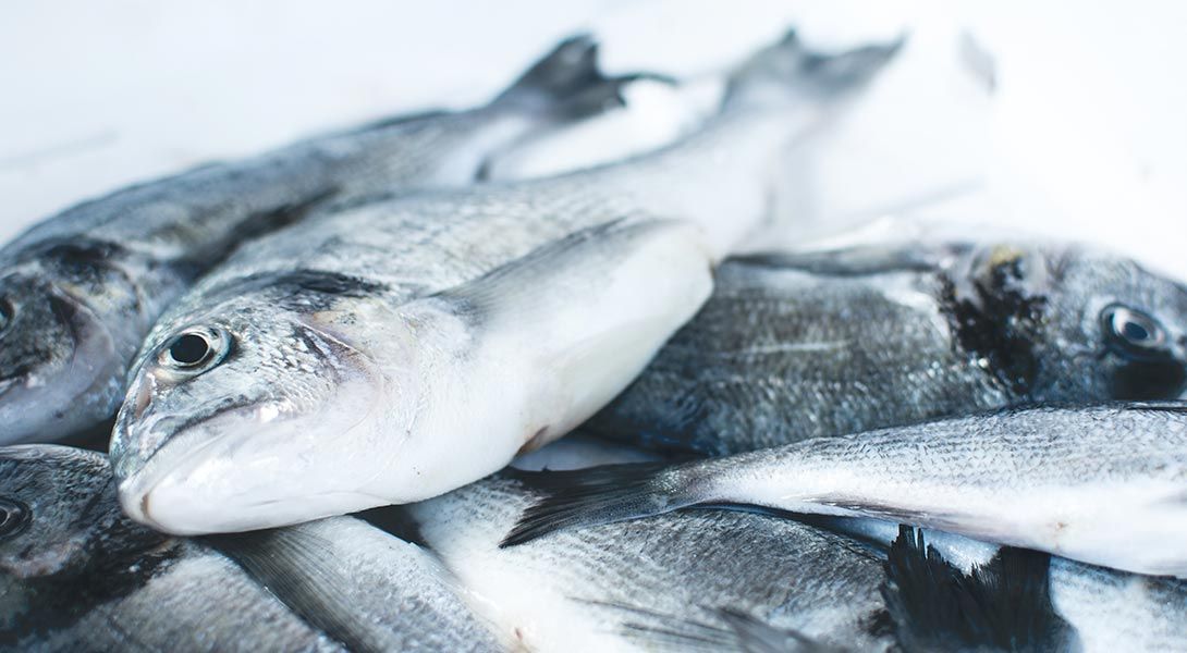 Ryby - dlaczego i jakie warto jeść, a których lepiej unikać?