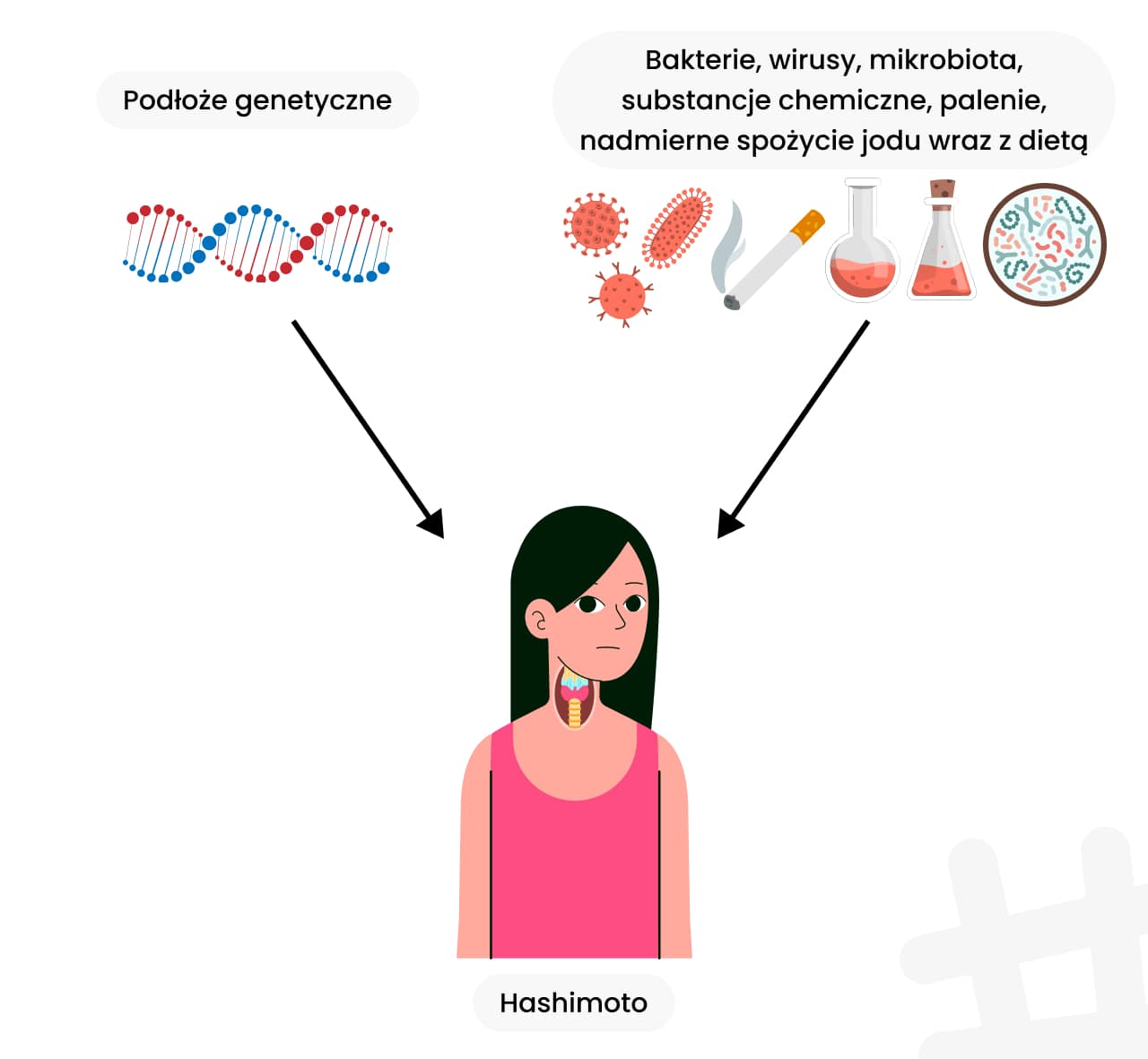 Co składa się na Hashimoto? Podłoże genetyczne oraz bakterie, wirusy, mikrobiota, substancje chemiczne, palenie, nadmierne spożycie jodu wraz z dietą