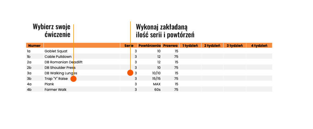 Analiza planu treningowe na siłownie dla początkujących