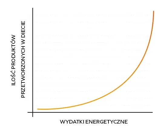 Wydatki energetyczne