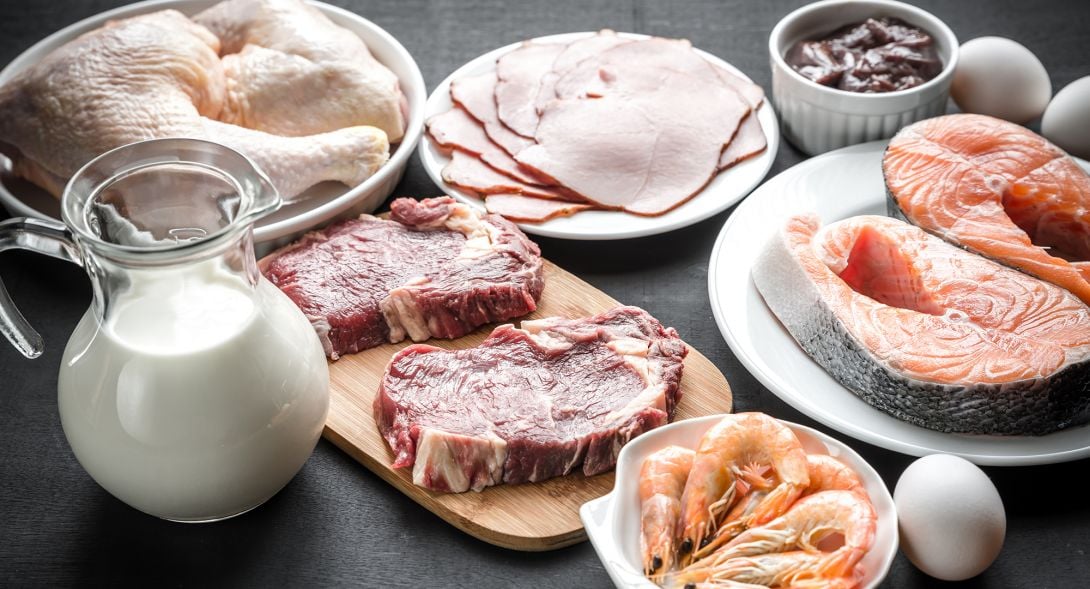 Różne źródła białka