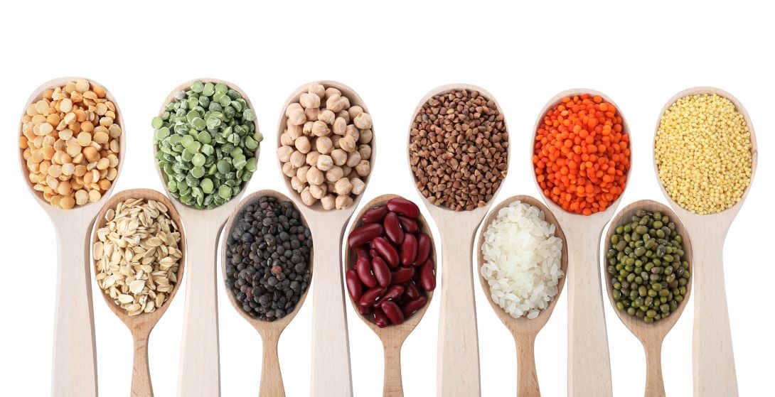 Różne źródła białek na łyżkach