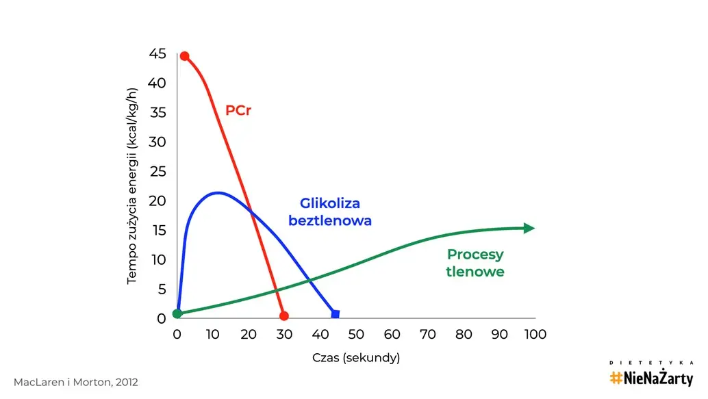 Tempo zużycia energii przy suplementacji kreatyną