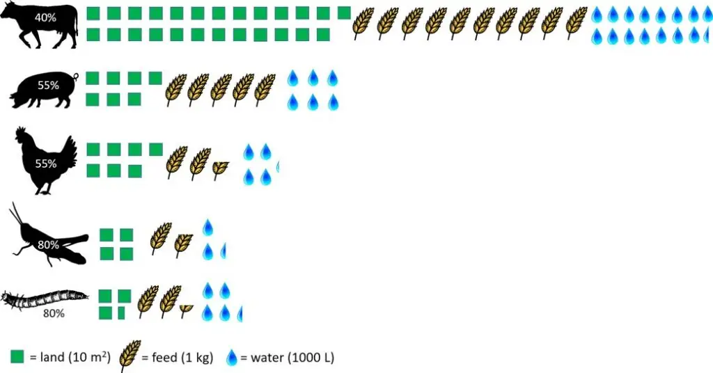 Zapotrzebowanie na wodę w zależności od rodzaju zwierzęcia