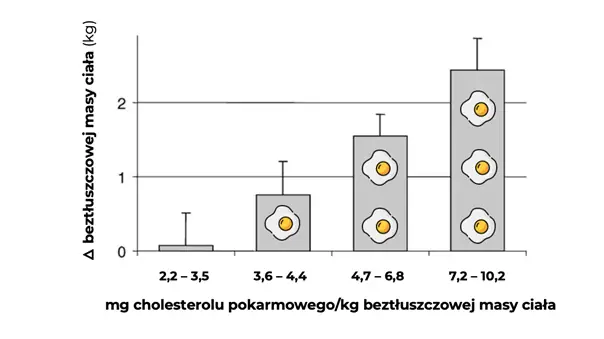 Stosunek beztłuszczowej masy ciała do cholesterolu