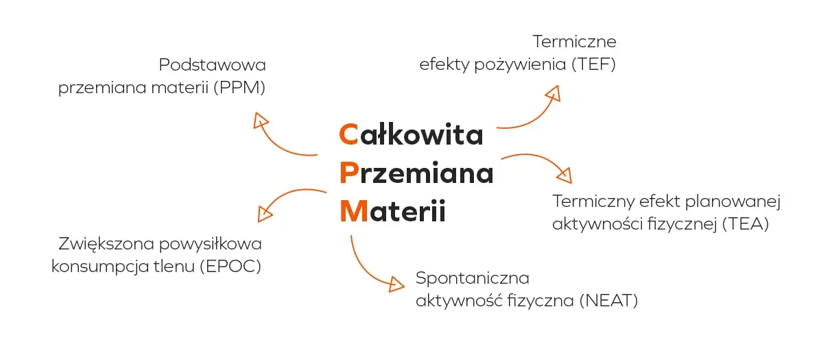 Całkowita przemiana materii