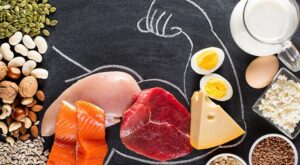 Źródła białka w postaci bicepsu człowieka