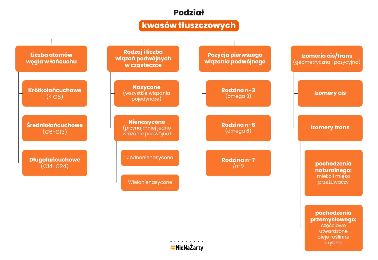 Podział tłuszczu w diecie