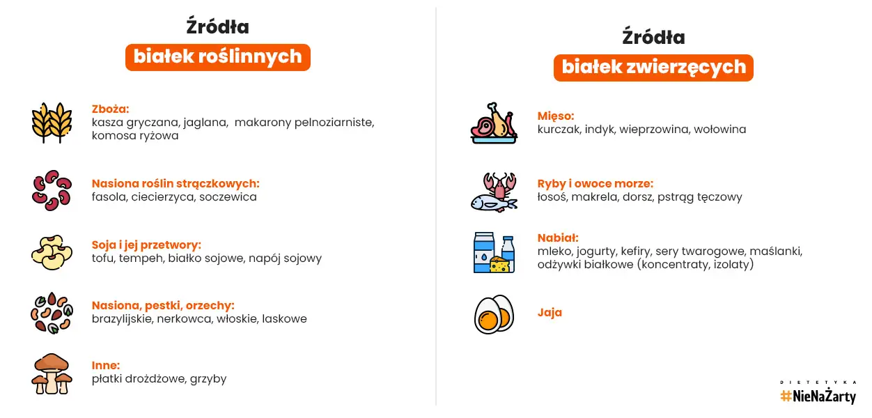 Źródła białka roślinnego i zwierzęcego
