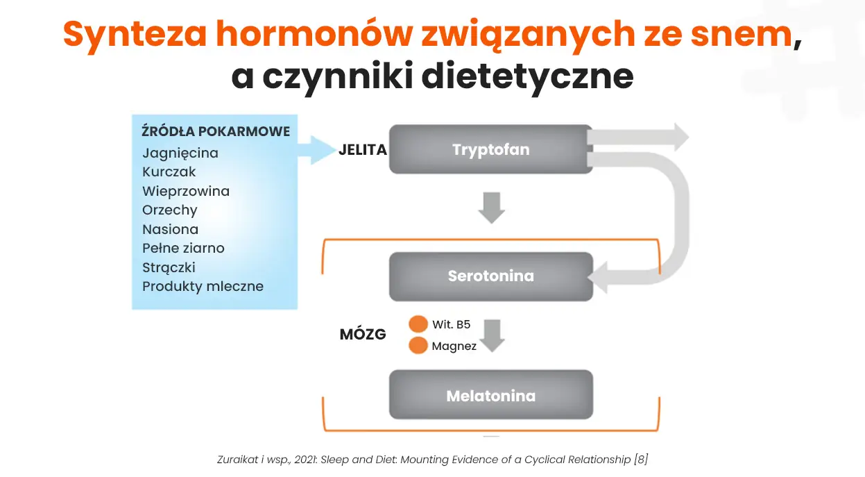 Synteza hormonów związanych ze snem, a czynniki dietetyczne
