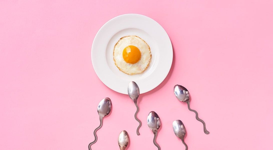 Łyżki w kształcie plemników pełzające do jajka