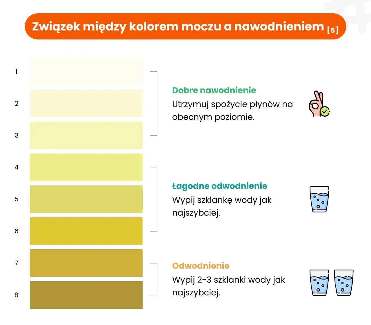Związek między kolorem moczu a nawodnieniem