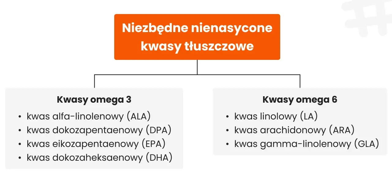 Rodzaje kwasów tłuszczowych wchodzących w skład kwasów omega 3 i 6