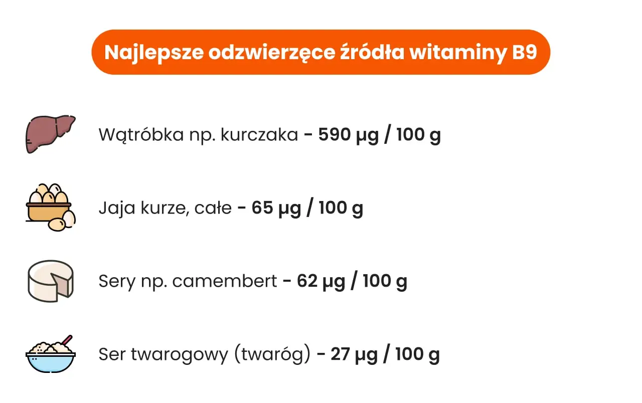 Najlepsze odzwierzęce źródła witaminy B9