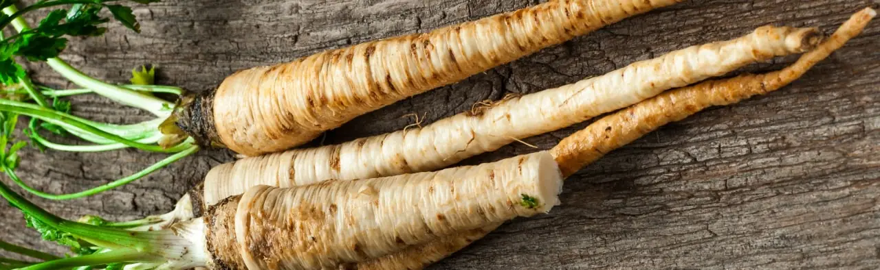 Pietruszka korzeń roślinne źródło witaminy B9