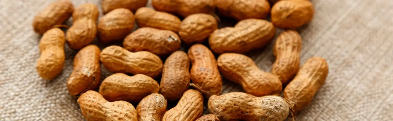 Orzeszki ziemne roślinne źródło witaminy b7