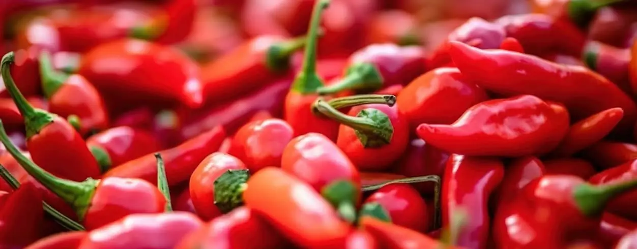 Ostre papryczki chilli