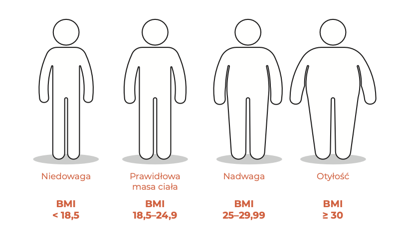 Prezentacja zakresów niedowagi, prawidłowej masy ciała, nadwagi oraz otyłości.