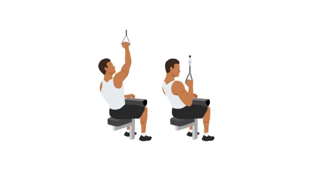 Single Arm Cable pulldown - Jednoręczne ściąganie linki wyciągu
