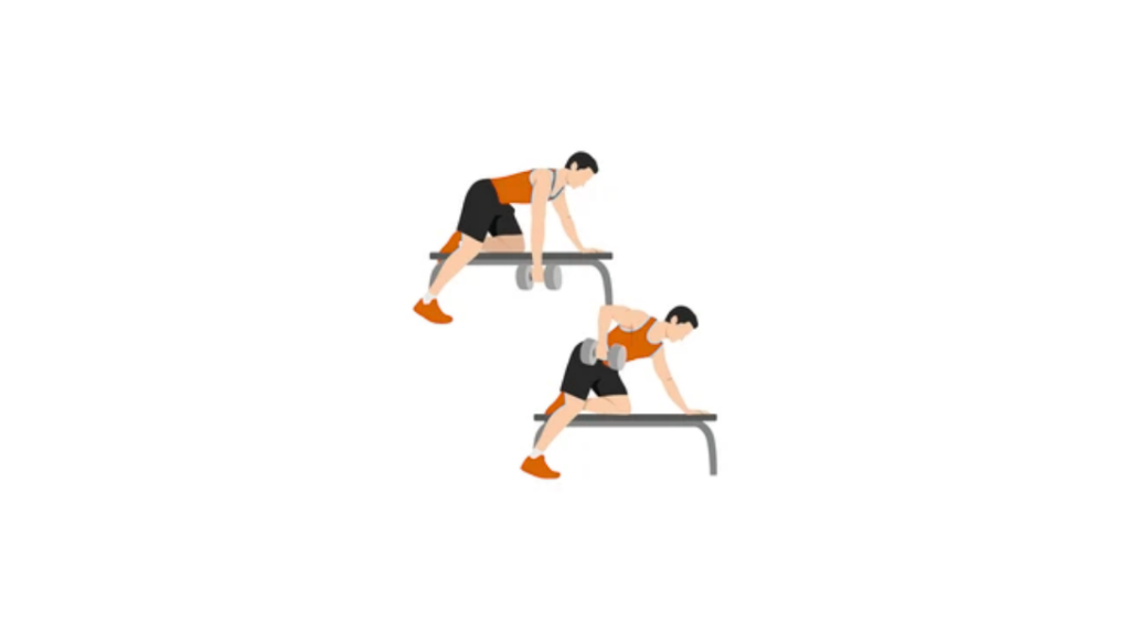 Bent Over DB Row - Wiosłowanie hantlami w opadzie tułowia