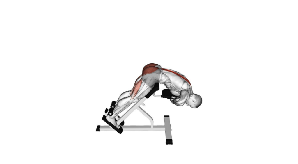 Plate Back Extension - Prostowanie tułowia z talerzem
