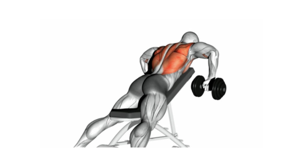 Chest Supported DB Row - Wiosłowanie hantlami w oparciu o ławkę