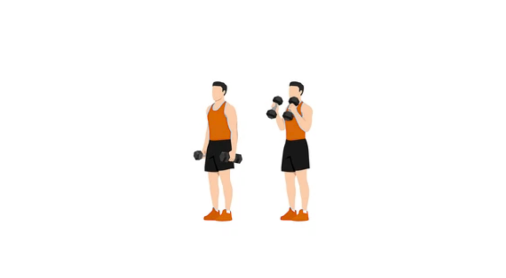 Hammer Bicep Curls - Uginanie ramion młotki