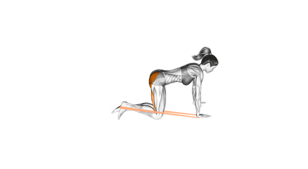 Quadruped Band Kick Backs - Prostowanie nogi w tył z gumą w klęku podpartym
