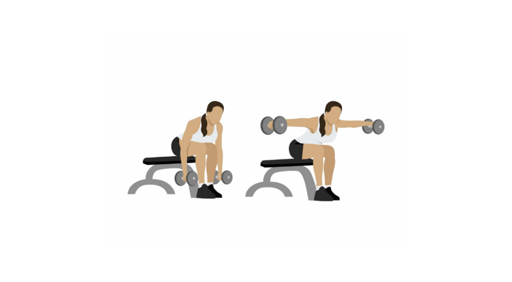 Seated Rear Delt Fly - Rozpiętki na tylny akton barków w siadzie
