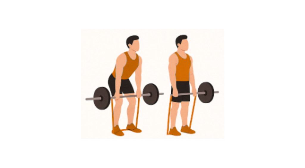 Banded BB Deadlift - Martwy ciąg ze sztangą i gumą oporową