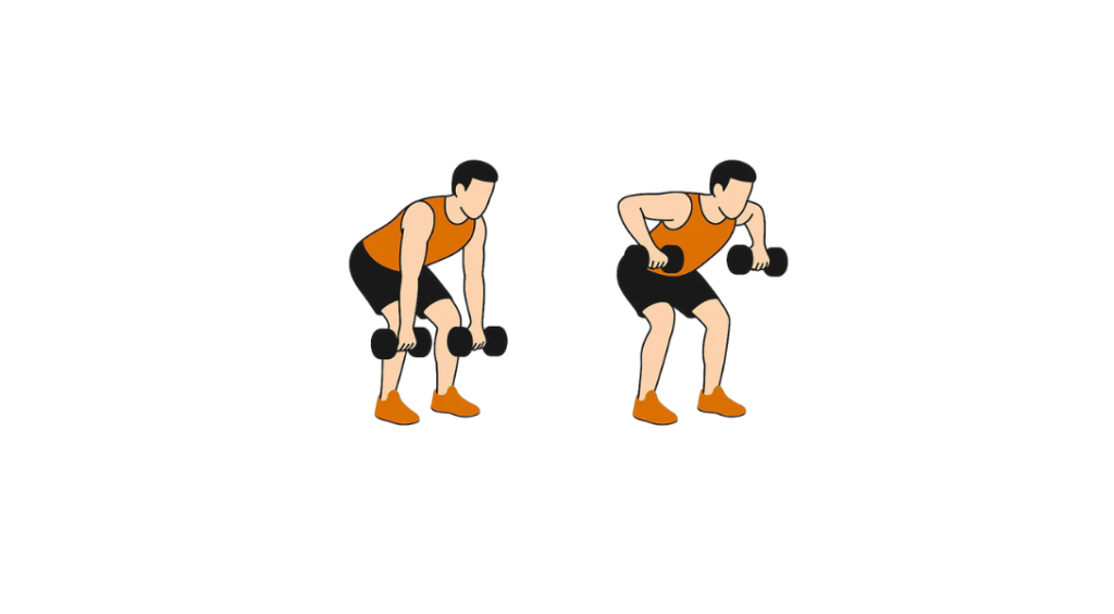Bent Over Rear Delt Row - Wiosłowanie w opadzie na tylny akton barków