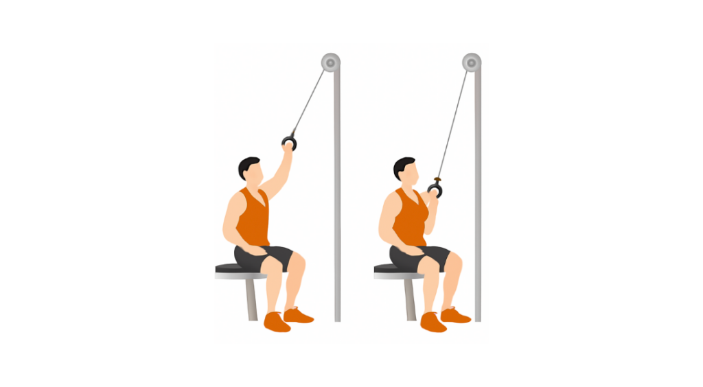 Single Arm Cable Pulldown - Jednoręczne ściąganie drążka wyciągu