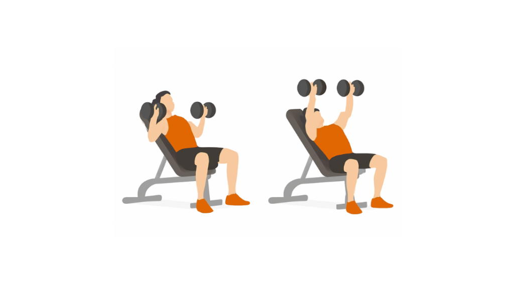 Low Incline DB Chest Press - Wyciskanie hantli na ławce o niskim kącie