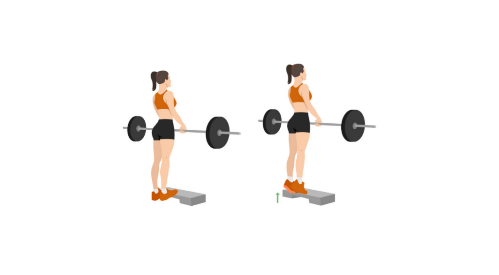 BB Calf Raises - Wspięcia na palce ze sztangą