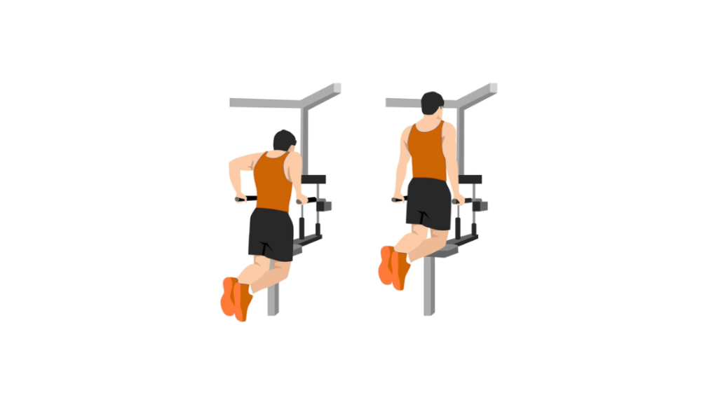 Weighted Chest Dips - Pompki na poręczach z obciążeniem
