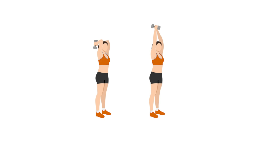 Overhead DB Triceps Extensions - Francuskie wyciskanie hantli nad głowę
