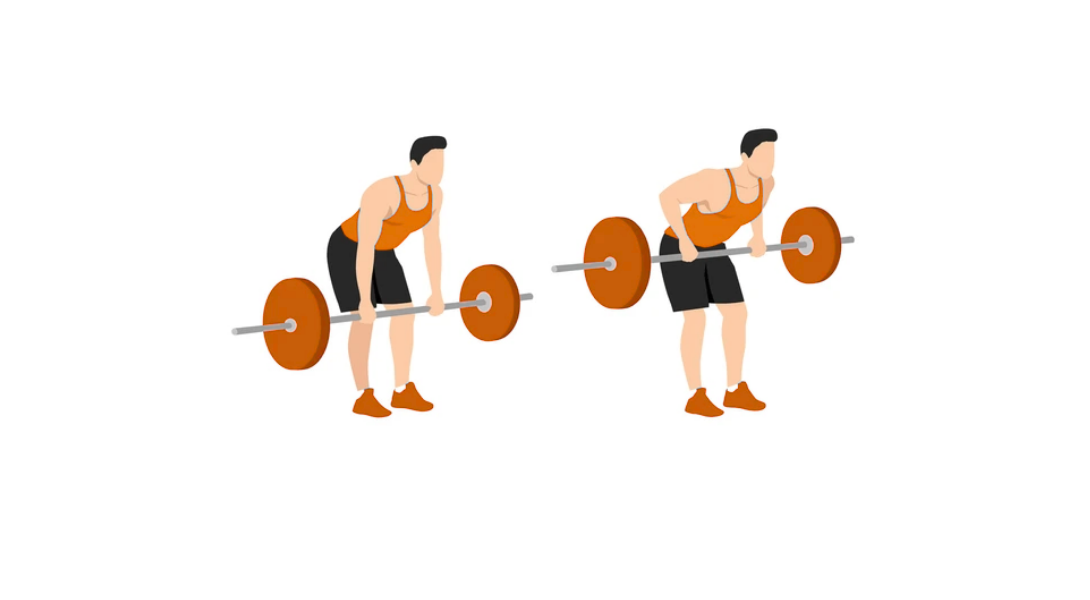 Parallel BB Row | Wiosłowanie sztangą równoległym chwytem