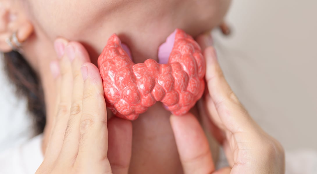 Produkty zalecane przy Hashimoto – co warto, a czego nie można jeść_