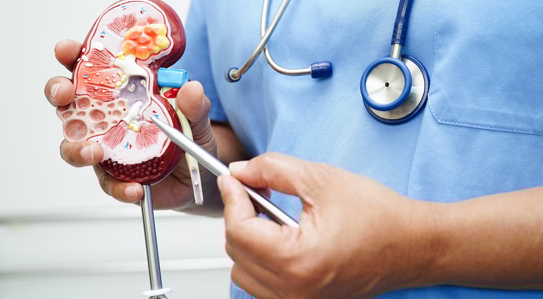 Dieta niskobiałkowa