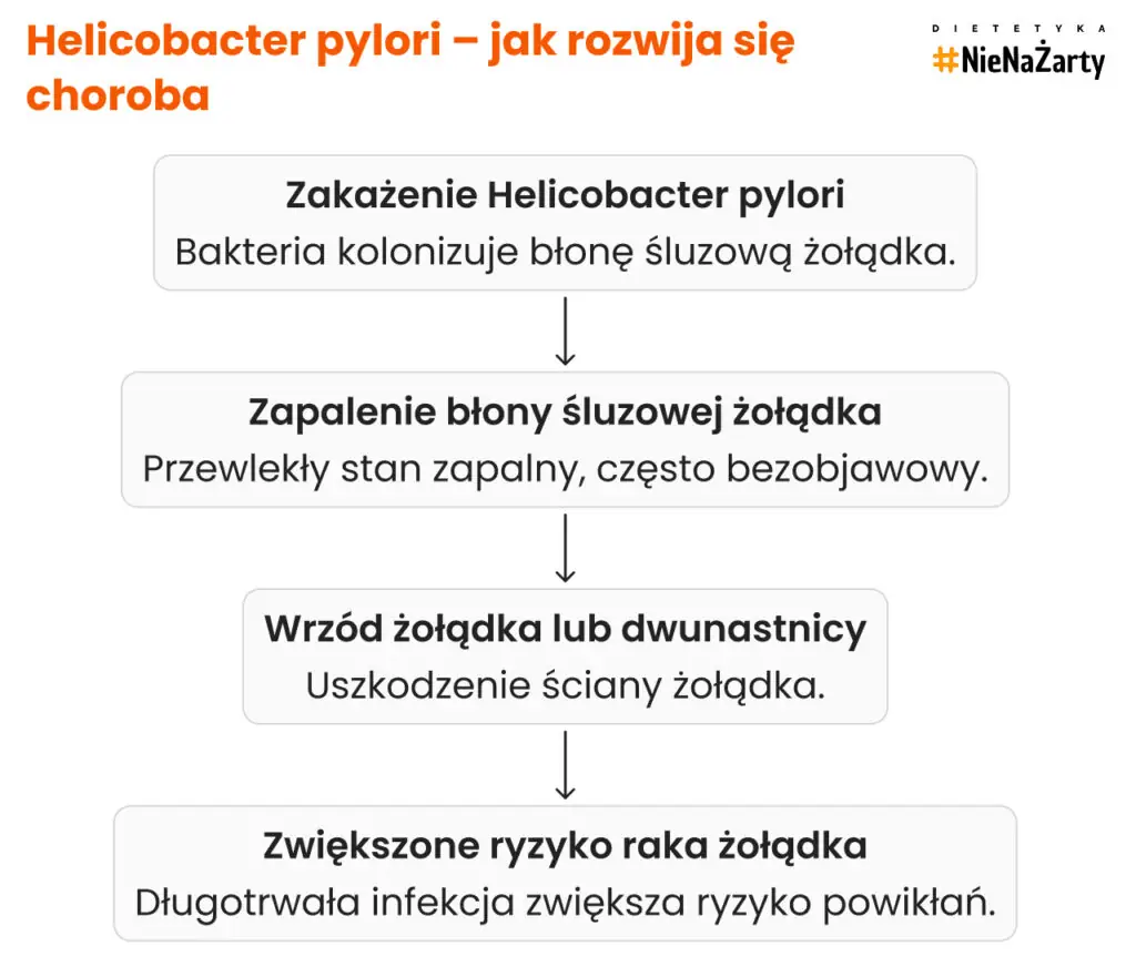 Helicobacter pylori – jak rozwija się choroba