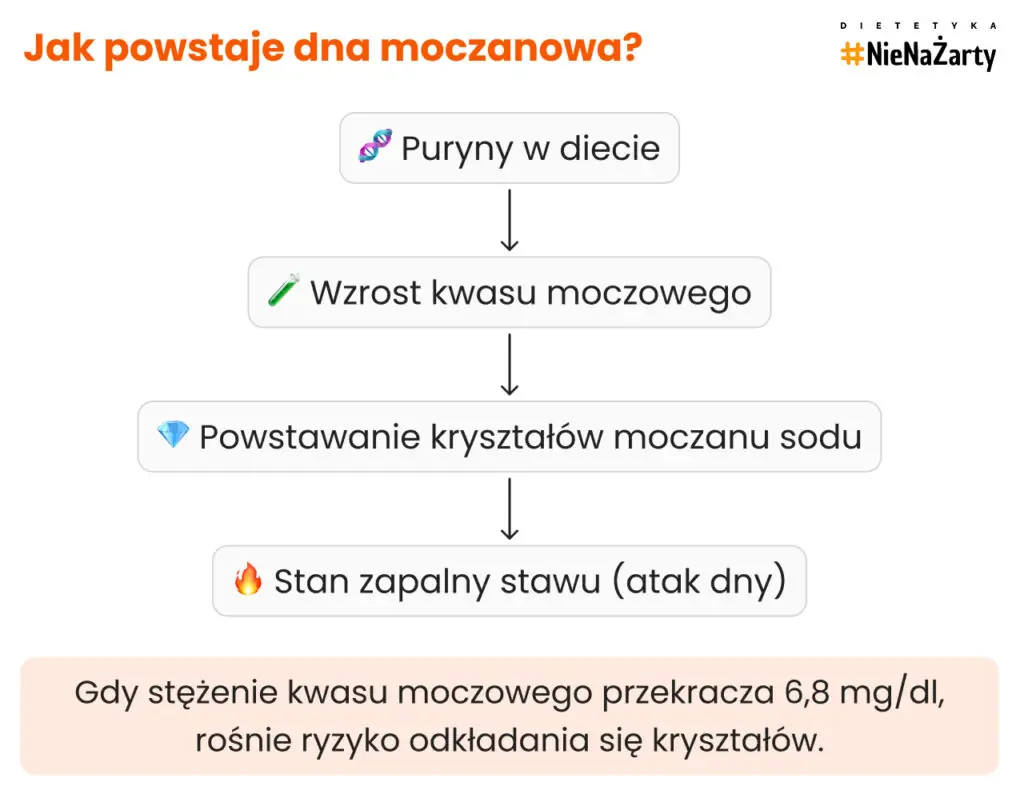 Jak powstaje dna moczanowa_