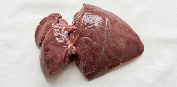Wątroba wołowa