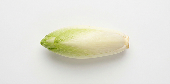Cykoria