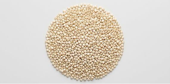 Komosa ryżowa (Quinoa) ziarna