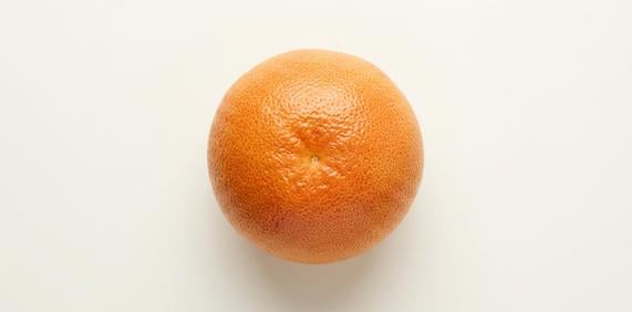 Grejpfrut