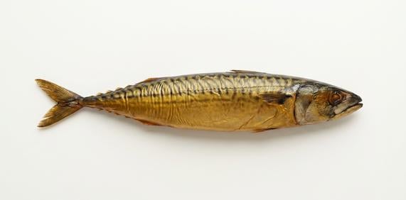 Makrela wędzona