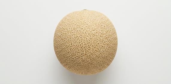 Melon